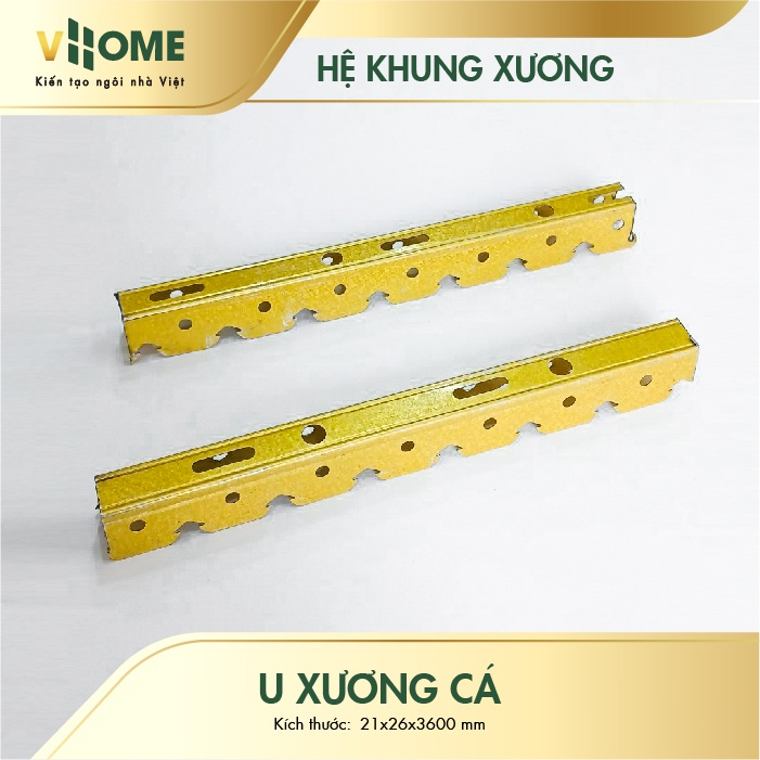 Hình ảnh minh họa U Xương Cá Vhome